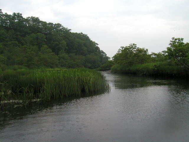 別寒辺牛川中流部．広大な湿原の中を緩やかに流れている．